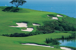 Orange County Golf Course Pelican Hill