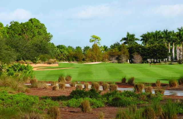 Tiburon Golf Course