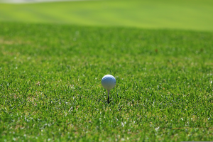 Golf ball and tee